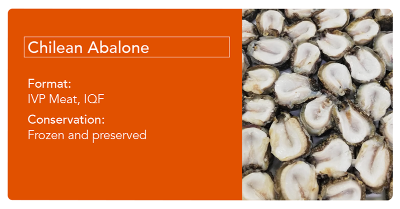 ChileanAbalone